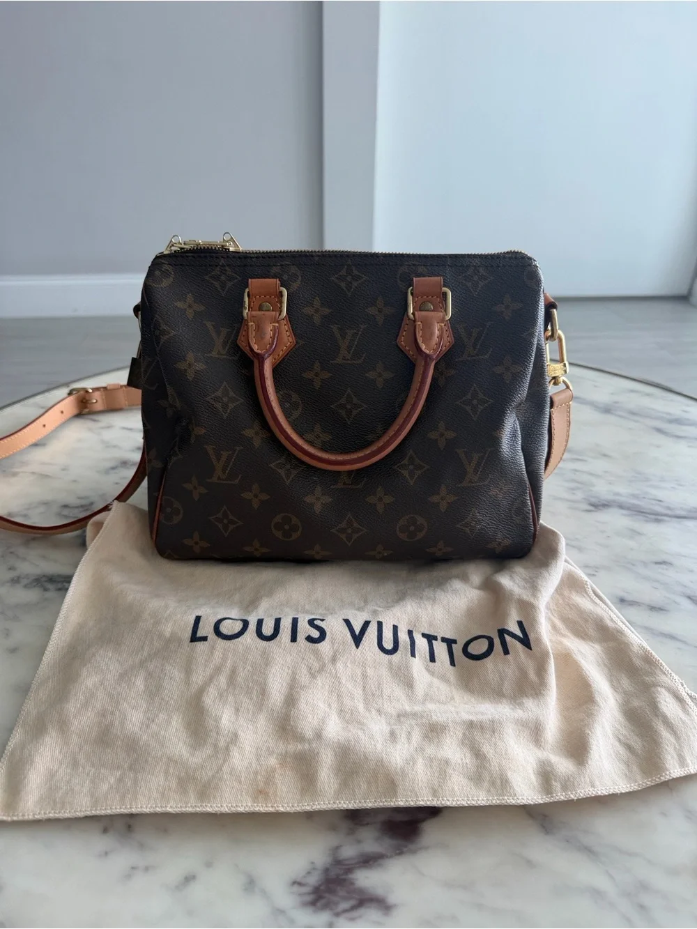 Louis Vuitton Speedy 25 in Monogram Canvas